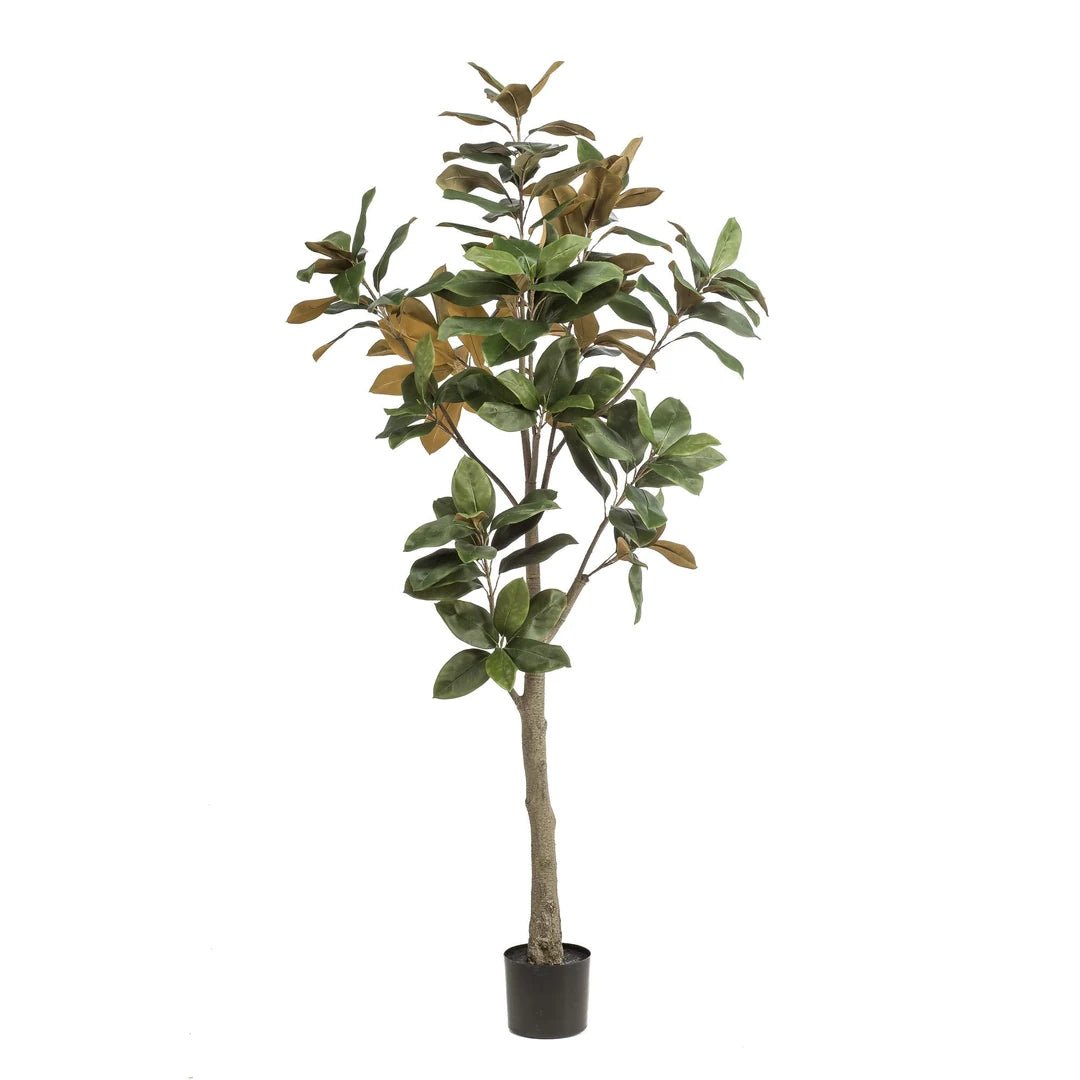 Künstliche Magnolie 180 cm im Topf Ø 15 cm