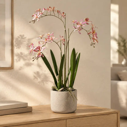 Künstliche Orchidee in Rosa auf einem Sideboard im hellen Wohnzimmer
