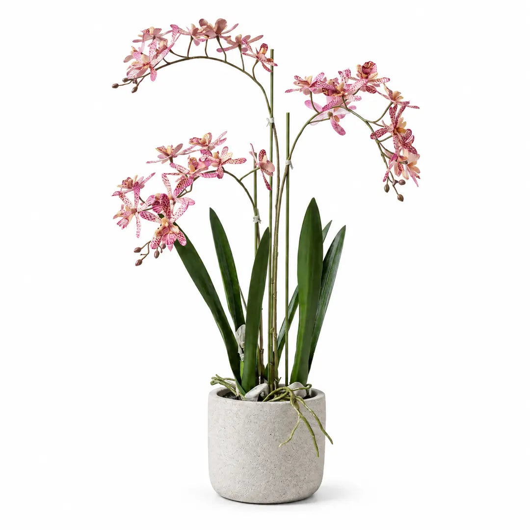 Künstliche Renanthera-Orchidee in Rosa im grauen Topf, freigestellt vor weißem Hintergrund