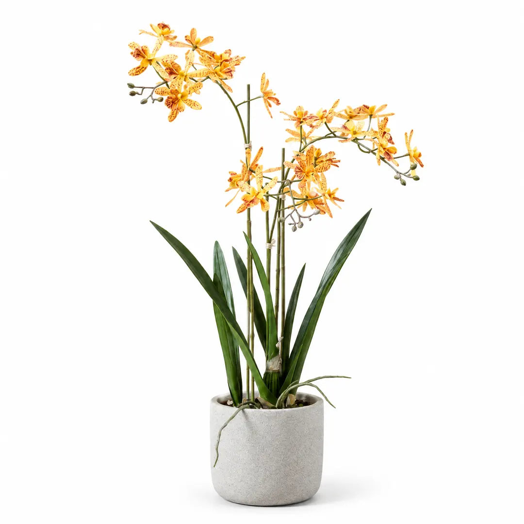 Künstliche Renanthera-Orchidee im grauen Topf, freigestellt vor weißem Hintergrund