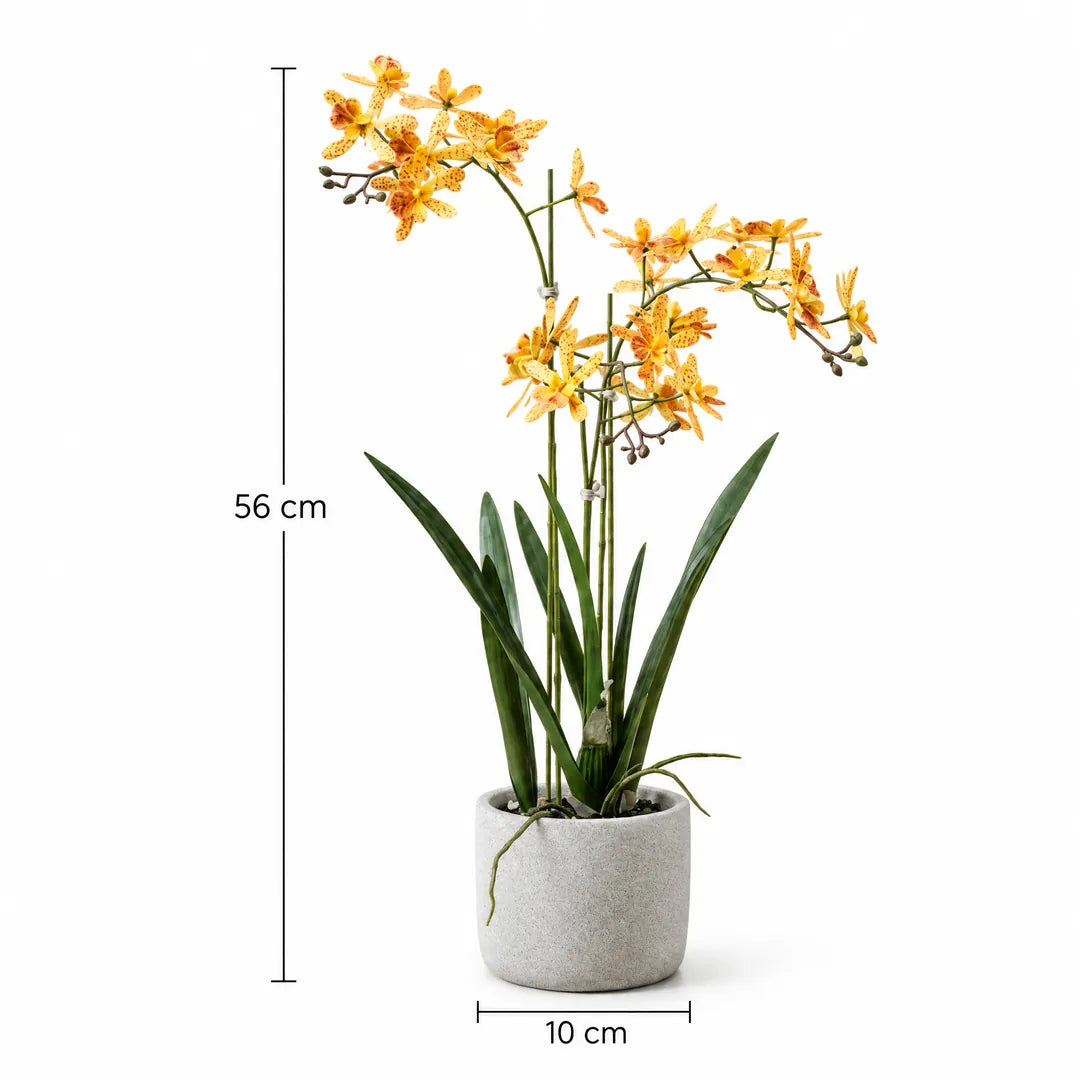 Größenangabe der künstlichen Orchidee: 56 cm Höhe, Topf 10 cm Durchmesser