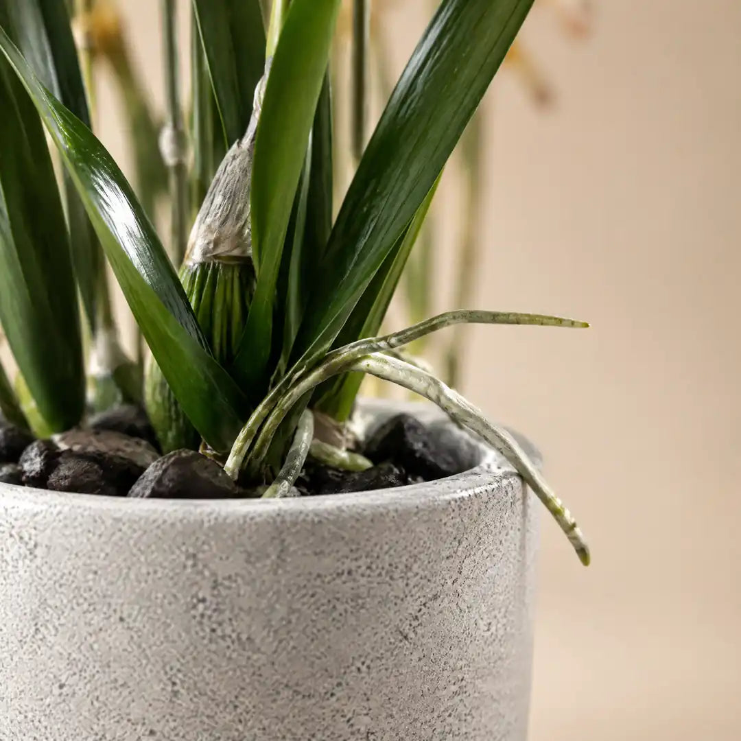 Detailaufnahme von Topf, Blattansatz und Luftwurzel der künstlichen Orchidee
