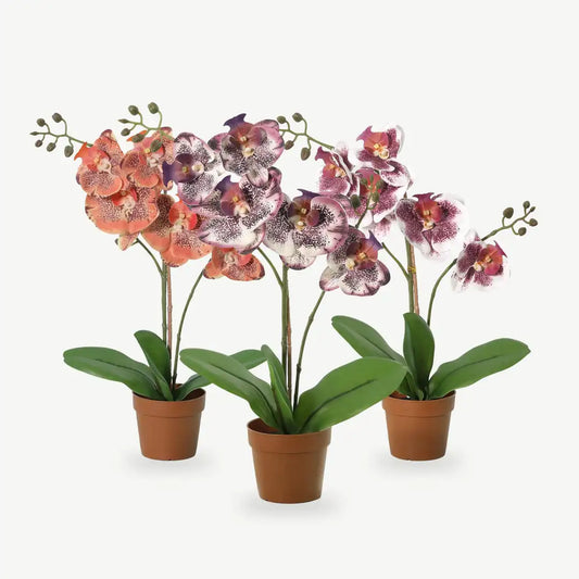 Künstliche Orchidee Phalaenopsis, 41 cm im Topf, in Lila, Orange und Violett-Weiß