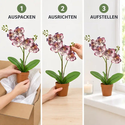 Künstliche Orchidee in drei Schritten: auspacken, ausrichten, aufstellen