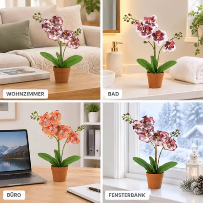 Künstliche Orchidee im Wohnzimmer, im Bad, im Büro und auf der Fensterbank
