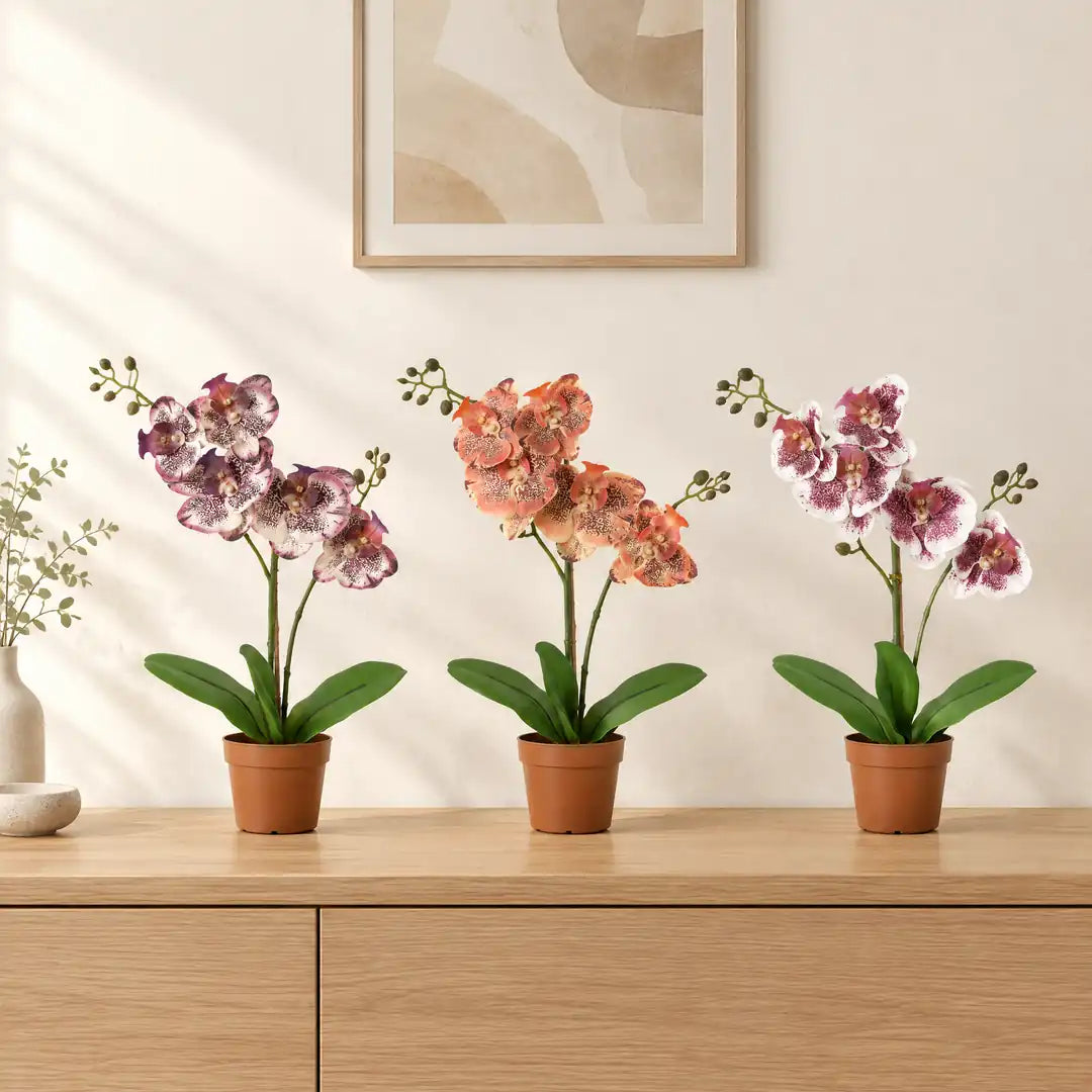 Künstliche Orchidee in Lila, Orange und Violett-Weiß nebeneinander auf einem Sideboard