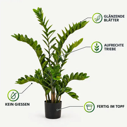 Merkmale der künstlichen Zamioculcas: glänzende Blätter, aufrechte Triebe, fertig im Topf, kein Gießen