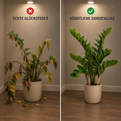 Vergleich: echte Glücksfeder mit gelben Blättern und künstliche Zamioculcas mit vollem Laub