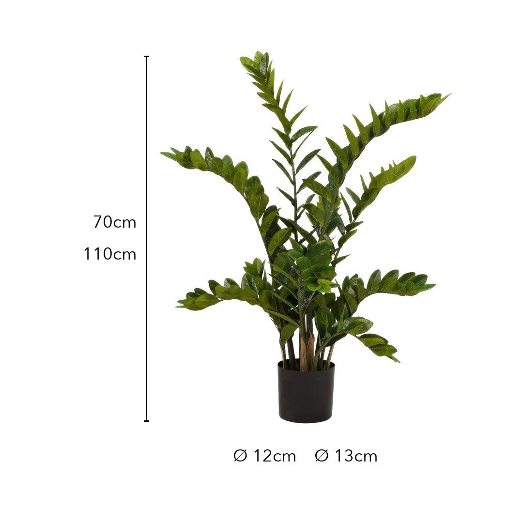 Größe künstliche Zamioculcas: 70 cm oder 110 cm, Topf Ø 12 cm oder Ø 13 cm