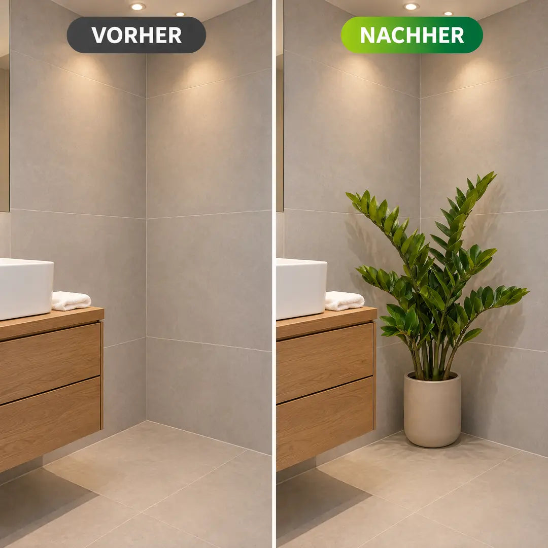 Bad ohne Fenster vorher leer und nachher mit künstlicher Zamioculcas