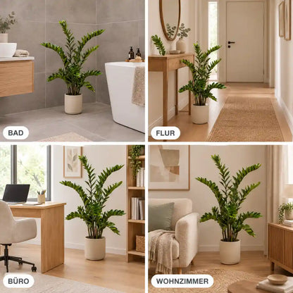 Künstliche Zamioculcas im Bad, Flur, Büro und Wohnzimmer