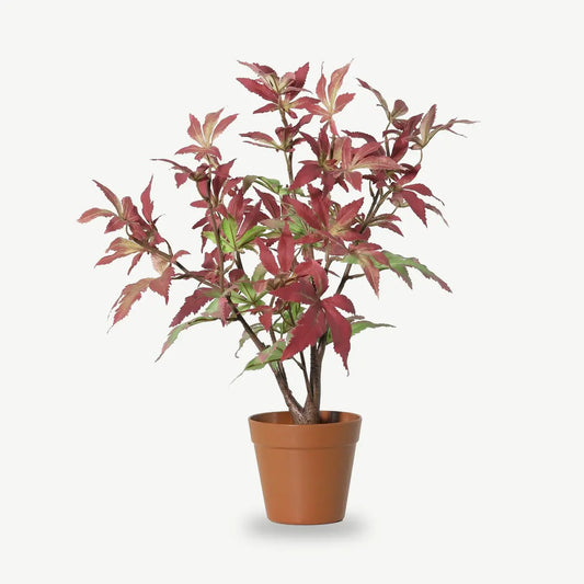 Künstlicher roter Japanischer Ahorn, 53 cm, im Terrakotta-Topf