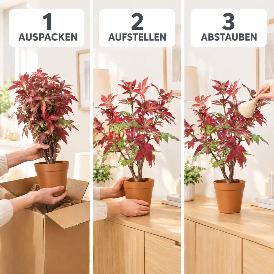 Aufstellen in drei Schritten: auspacken, aufstellen, abstauben