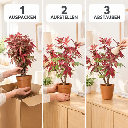 Aufstellen in drei Schritten: auspacken, aufstellen, abstauben