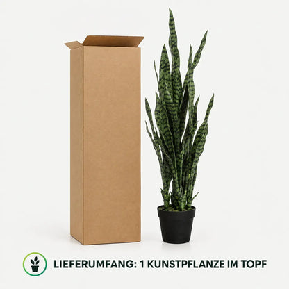 Lieferumfang: eine Kunstpflanze im Topf, hier die Sorte Black Coral neben dem Versandkarton