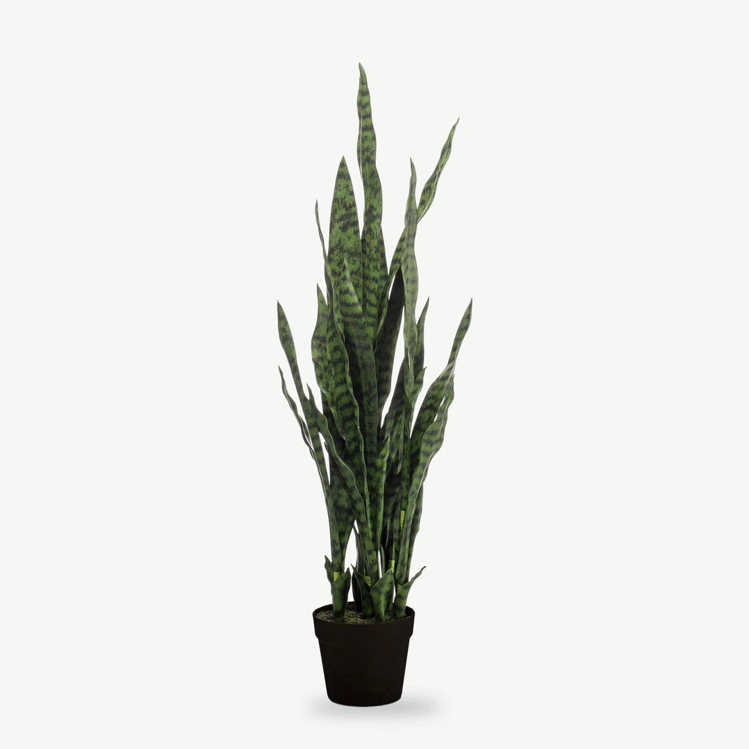 Künstlicher Bogenhanf Black Coral, 97 cm, fast schwarzgrün gebändert im schwarzen Topf