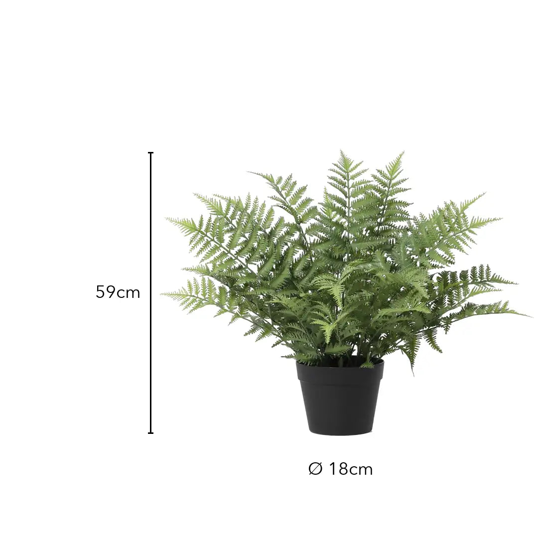 Größe künstlicher Farn: 59 cm, Topf Ø 18 cm