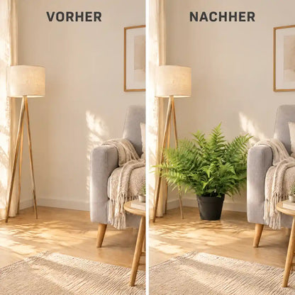 Vorher und nachher: leere Zimmerecke und Ecke mit künstlichem Farn