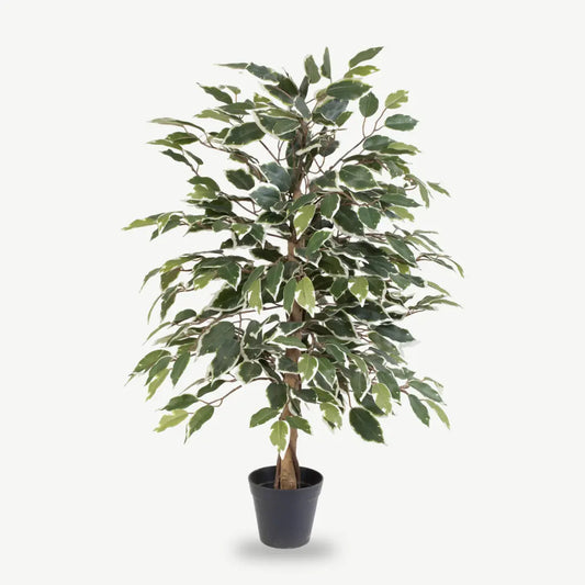 Künstlicher Ficus Benjamini 85 cm – grün-weiße Birkenfeige im schwarzen Topf, freigestellt