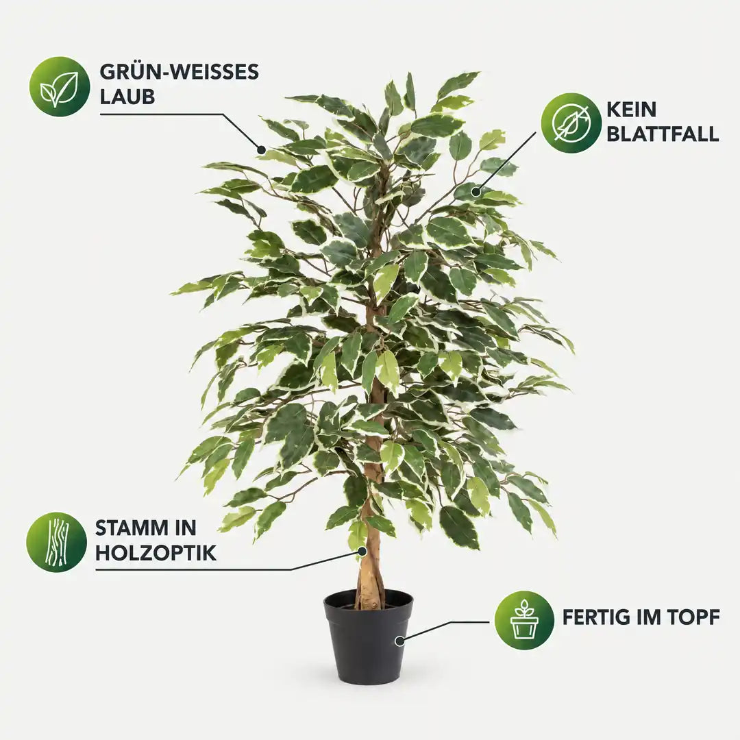 Künstlicher Ficus Benjamini: Birkenfeige 85 cm kaufen