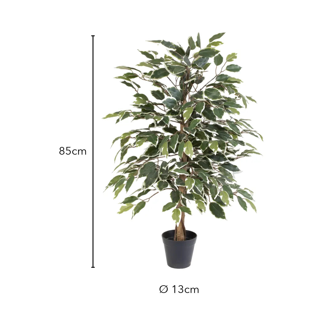 Künstlicher Ficus Benjamini: Birkenfeige 85 cm kaufen