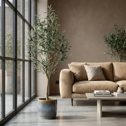 Künstlicher Olivenbaum im hellen Wohnzimmer neben Sofa und Couchtisch am Fenster