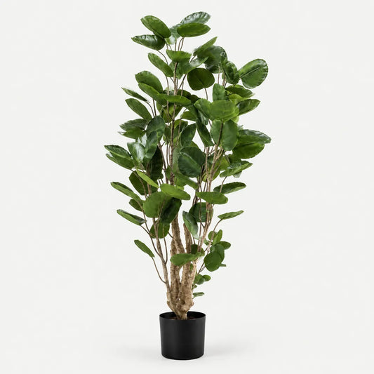 Künstlicher Polysciasbaum, 105 cm, im schwarzen Topf vor hellem Studiohintergrund