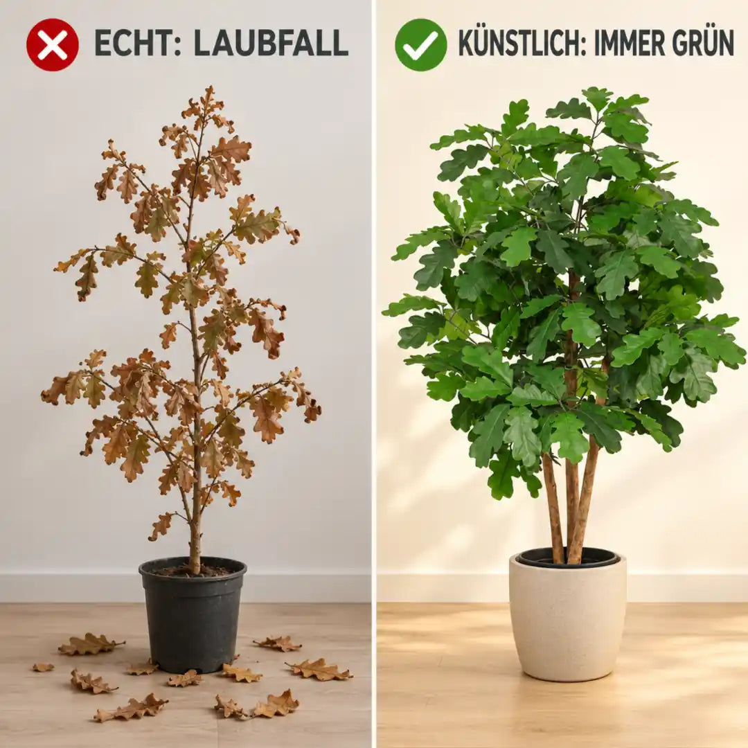 Vergleich: echte Eiche mit Laubfall im Topf und künstliche Eiche immer grün