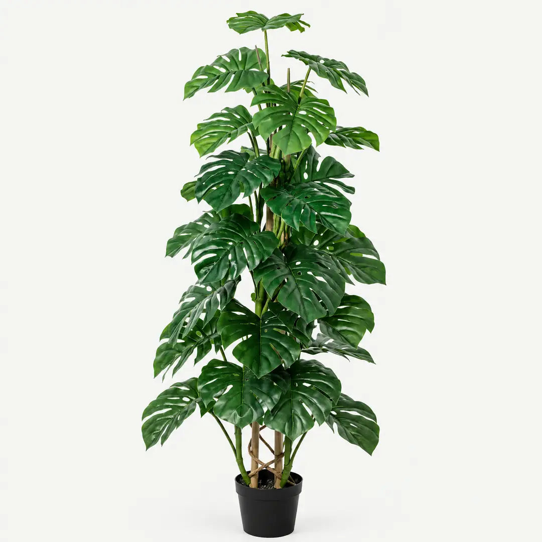Künstliche Monstera, 125 cm, freigestellt im schwarzen Topf