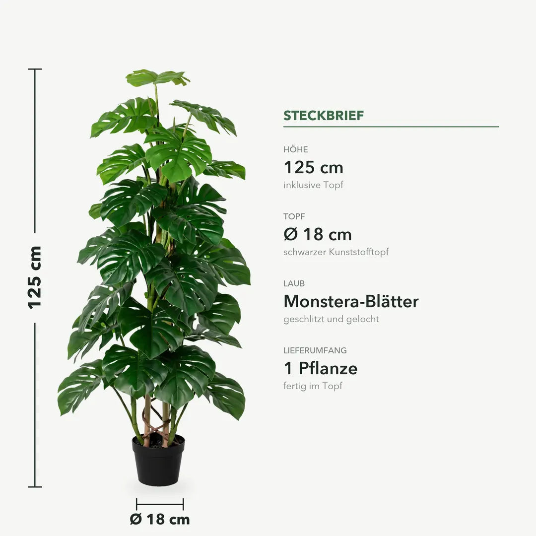 Maße der künstlichen Monstera: 125 cm Höhe, Topf Ø 18 cm