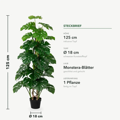 Maße der künstlichen Monstera: 125 cm Höhe, Topf Ø 18 cm