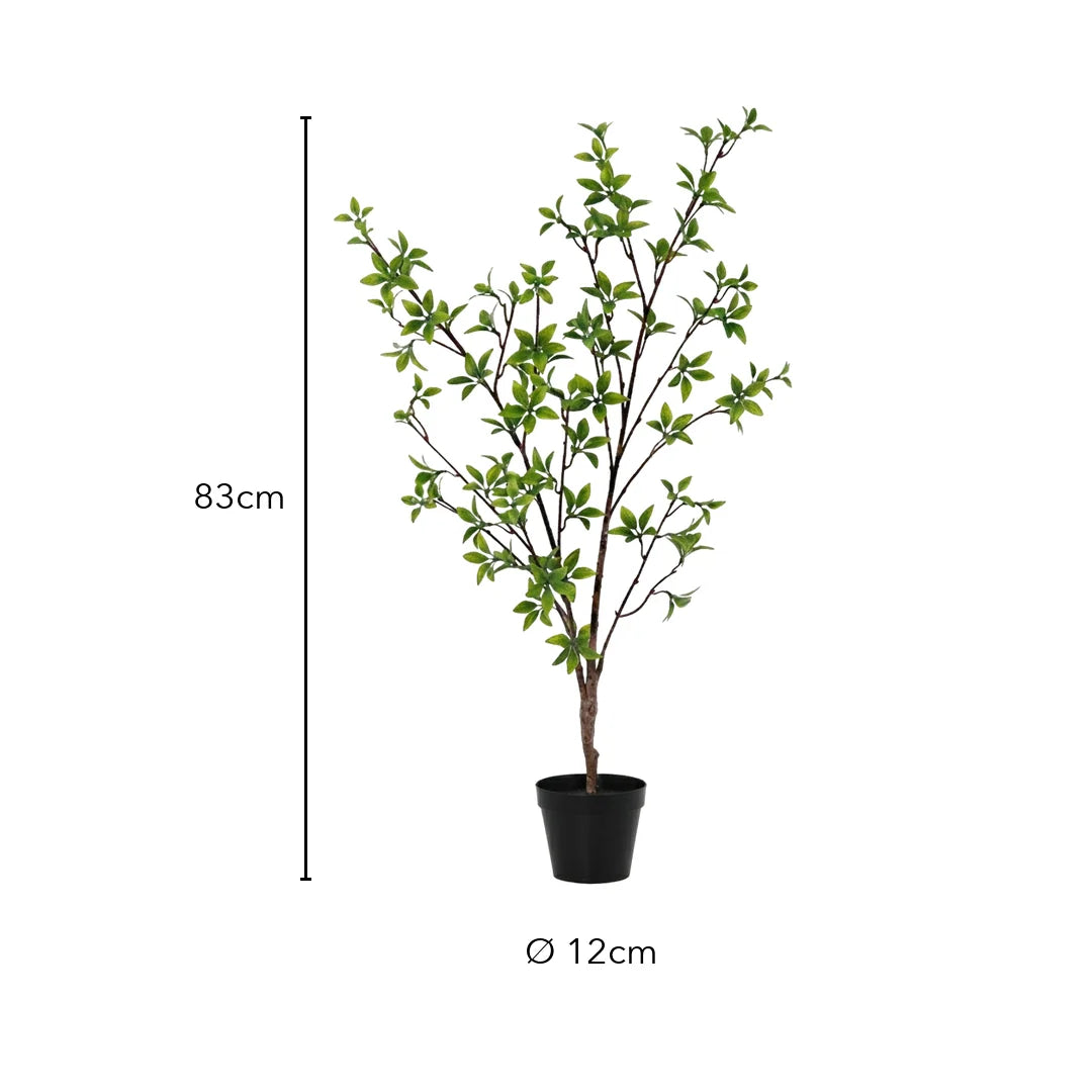 Größe künstliche Myrte: 83 cm, Topf Ø 12 cm