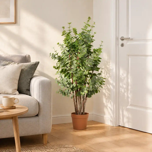 Künstlicher Eukalyptus in Grün in der Ecke eines hellen Wohnzimmers neben dem Sofa