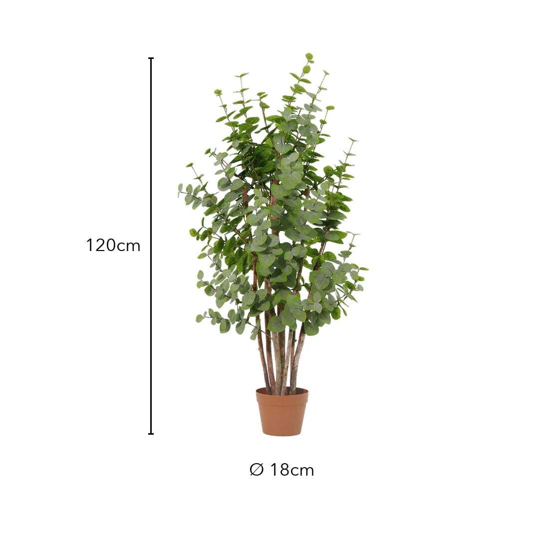 Größe künstlicher Eukalyptus: 120 cm, Topf Ø 18 cm