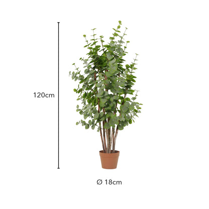 Größe künstlicher Eukalyptus: 120 cm, Topf Ø 18 cm