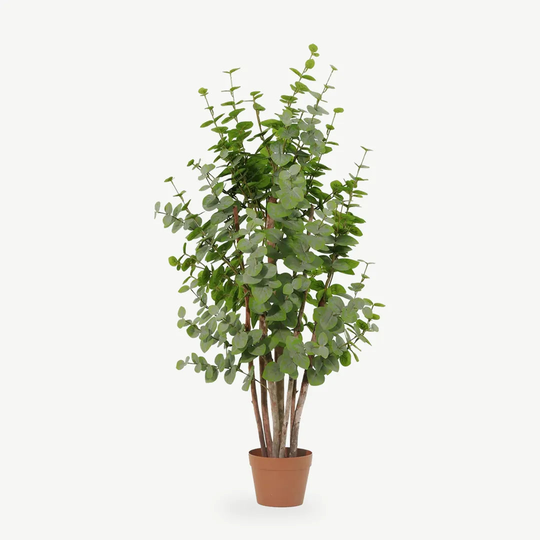 Künstlicher Eukalyptus in Grün, 120 cm im Topf