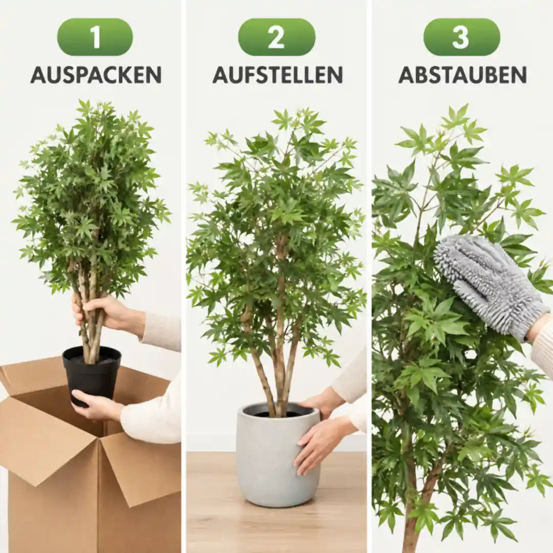 Künstlicher Japanischer Ahorn in drei Schritten: auspacken, aufstellen, abstauben