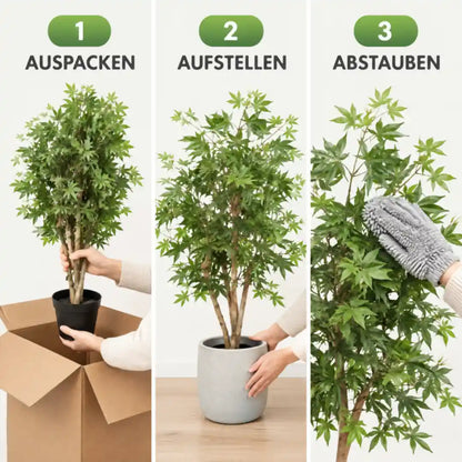 Künstlicher Japanischer Ahorn in drei Schritten: auspacken, aufstellen, abstauben