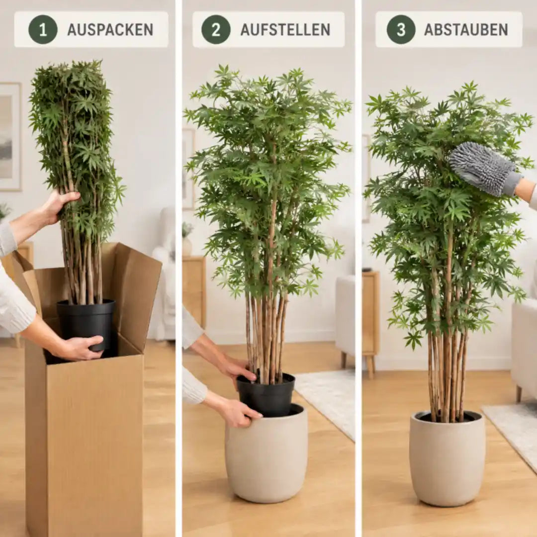 Künstlicher Japanischer Ahorn in drei Schritten: auspacken, aufstellen, abstauben