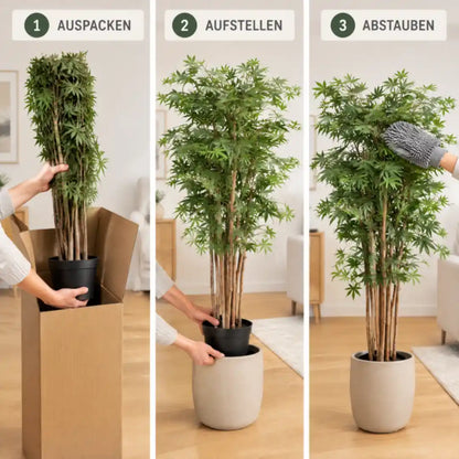Künstlicher Japanischer Ahorn in drei Schritten: auspacken, aufstellen, abstauben