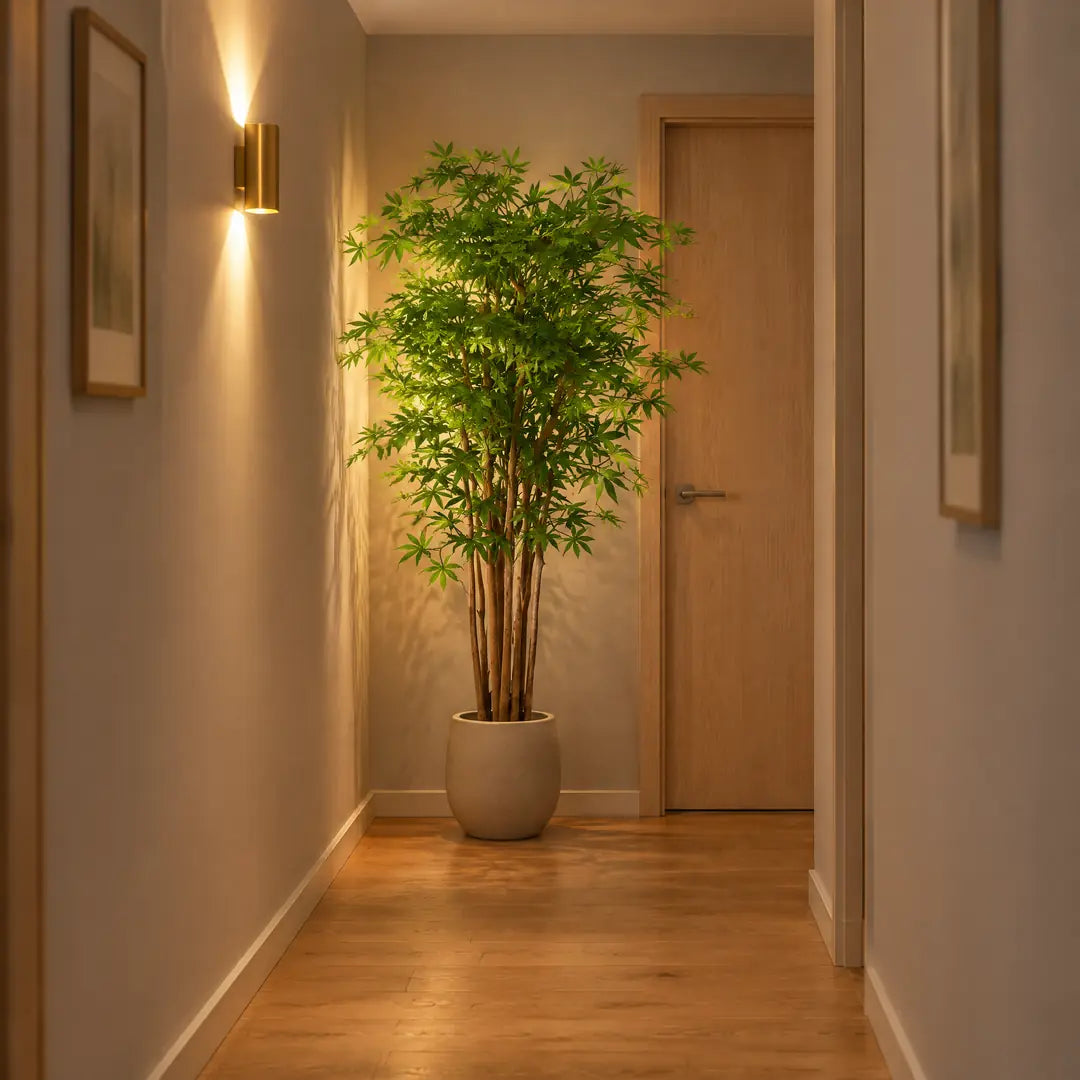 Künstlicher Japanischer Ahorn im fensterlosen Flur im warmen Lampenlicht