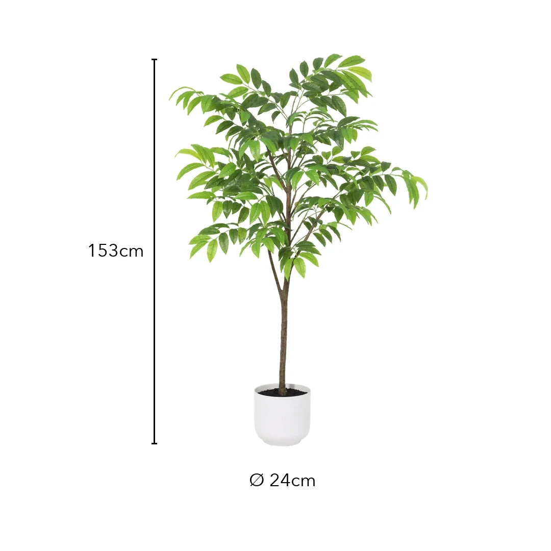 Größen-Grafik: Kunstbaum 153 cm hoch, Topf Ø 24 cm