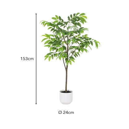 Größen-Grafik: Kunstbaum 153 cm hoch, Topf Ø 24 cm