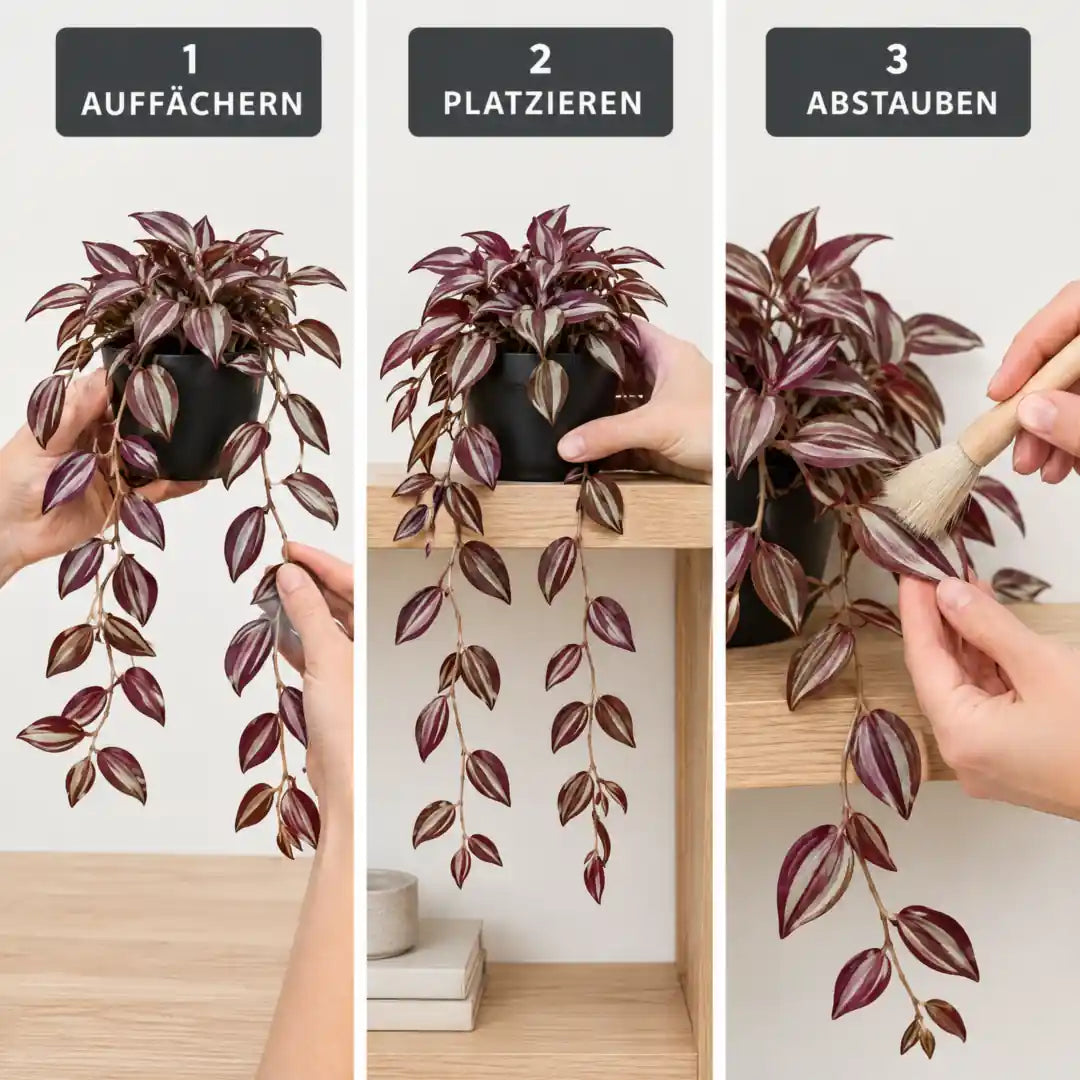 Anwendung in drei Schritten: Ranken auffächern, an der Regalkante platzieren, abstauben