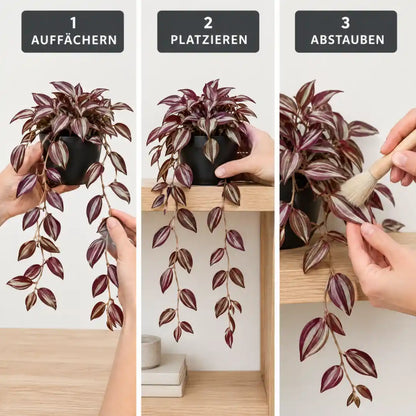 Anwendung in drei Schritten: Ranken auffächern, an der Regalkante platzieren, abstauben