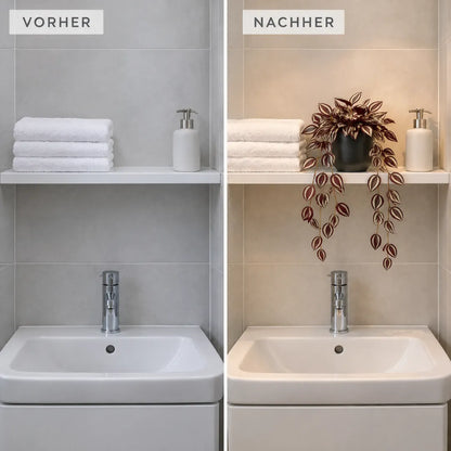 Vorher und nachher: Regal im Bad ohne Fenster mit und ohne Zebrakraut