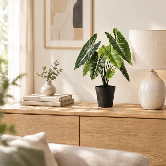 Künstliche Alocasia Polly auf einem Eichen-Sideboard neben einer Tischlampe