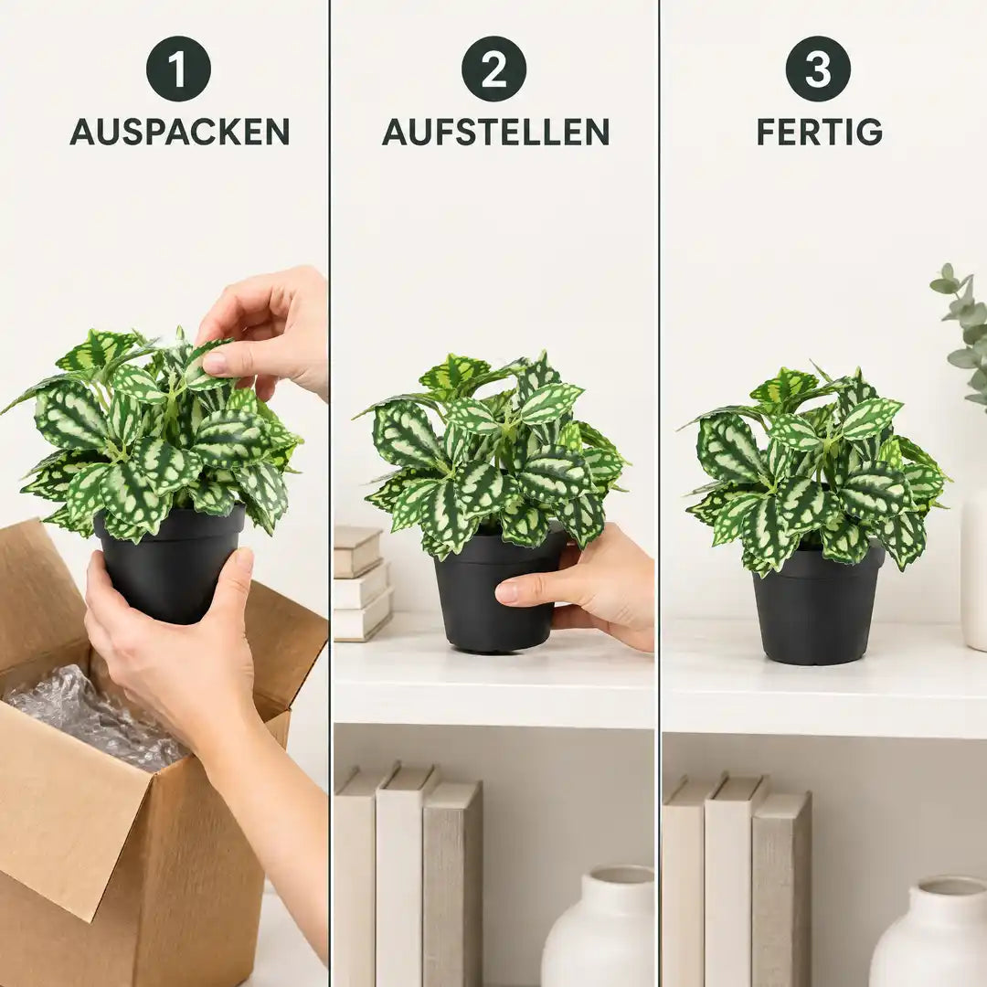 Anwendung in drei Schritten: Auspacken, Aufstellen, Fertig