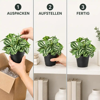 Anwendung in drei Schritten: Auspacken, Aufstellen, Fertig