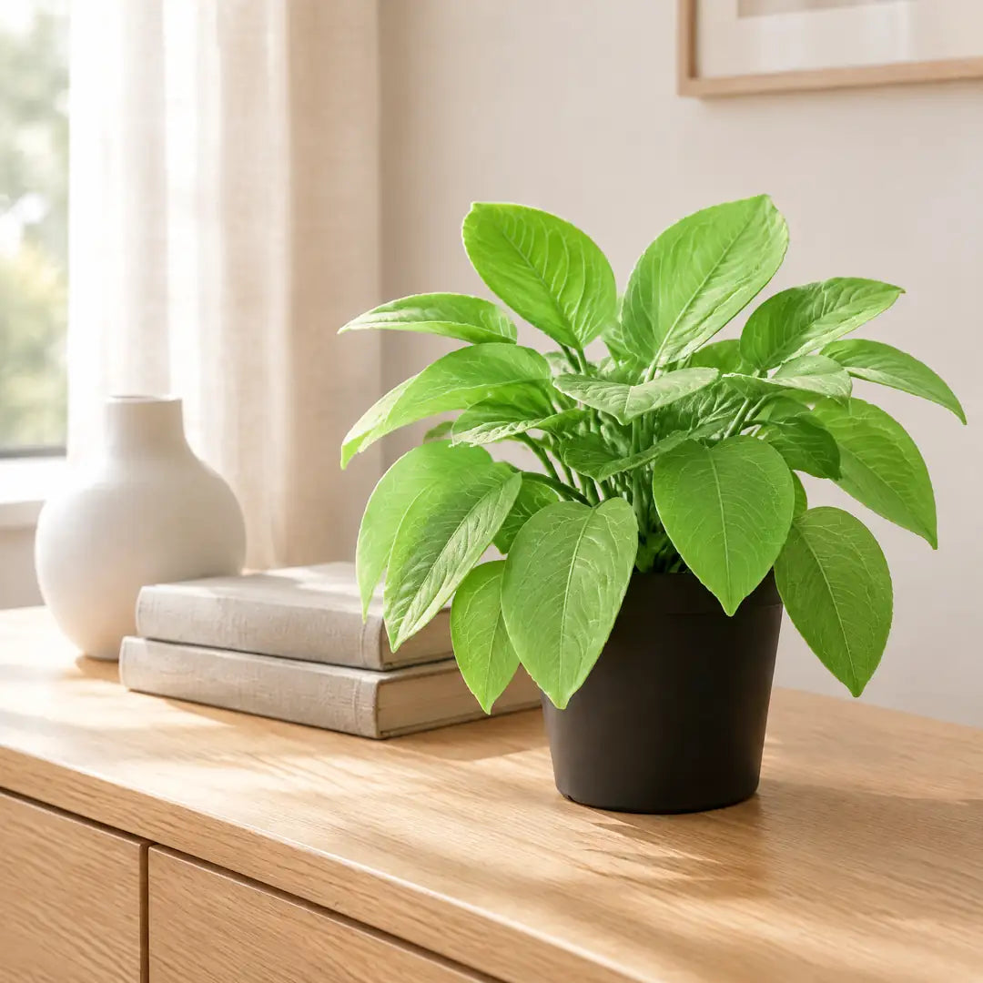 Kleine Kunstpflanze auf einem hellen Sideboard neben Keramikvase und Büchern im Wohnzimmer